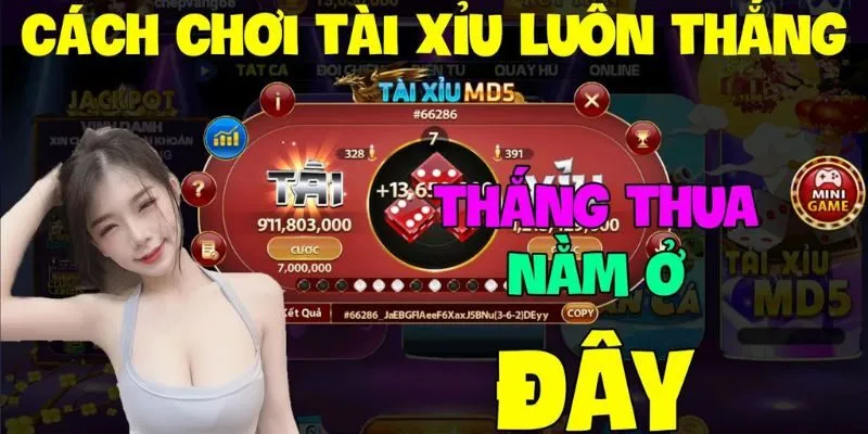 Khái Niệm Cơ Bản về Tài Xỉu